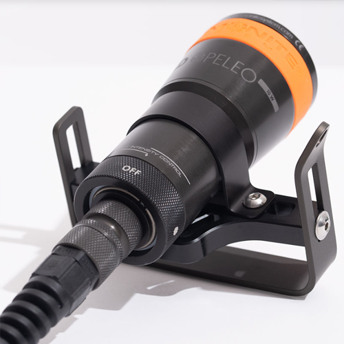 Uchwyt do latarek nurkowych Ammonite System Goodman Standard – ergonomiczny, z oczkiem na karabińczyk, wykonany z lekkiego i wytrzymałego Delrinu.