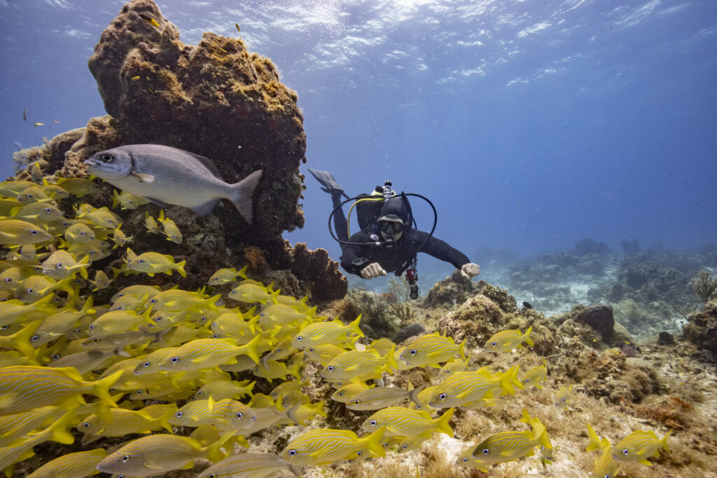 Garmin Descent X30 komputer nurkowy GPS w realnych warunkach nurkowych