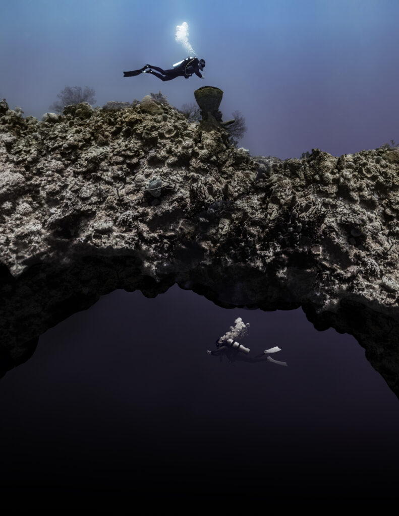 Garmin Descent Mk3i 51 mm – monitoring ciśnienia i danych nurkowych w czasie rzeczywistym