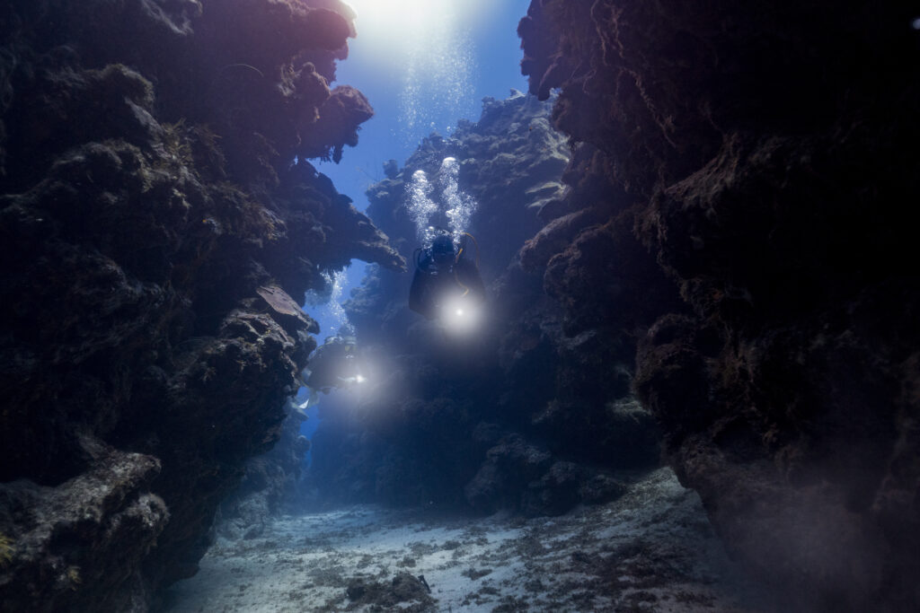 Garmin Descent Mk3i 51 mm podczas nurkowania – czytelny ekran AMOLED pod wodą