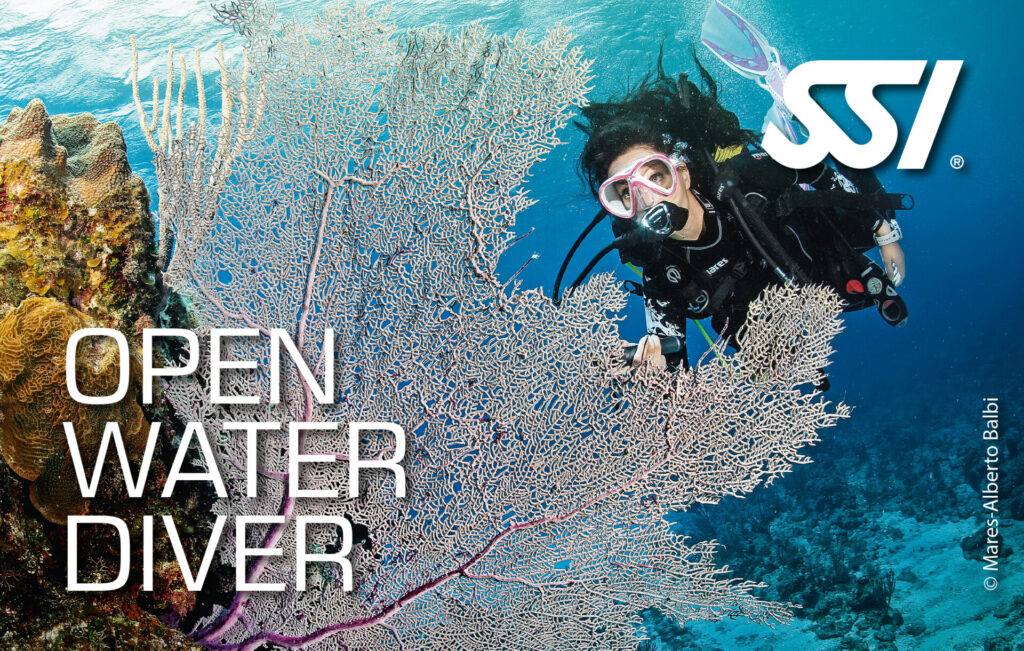 Kurs Open Water Diver SSI w Deepspot, certyfikat do 18 m 3 Certyfikat Open Water Diver SSI